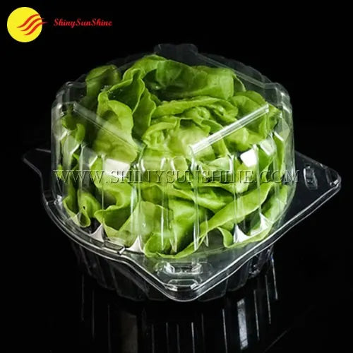 Premium clamshell lettuce box with blank surface for labeling and retail use