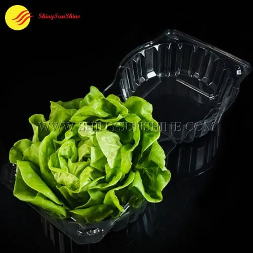 Food-grade clamshell box for lettuce, photographed closed and ready for retail display