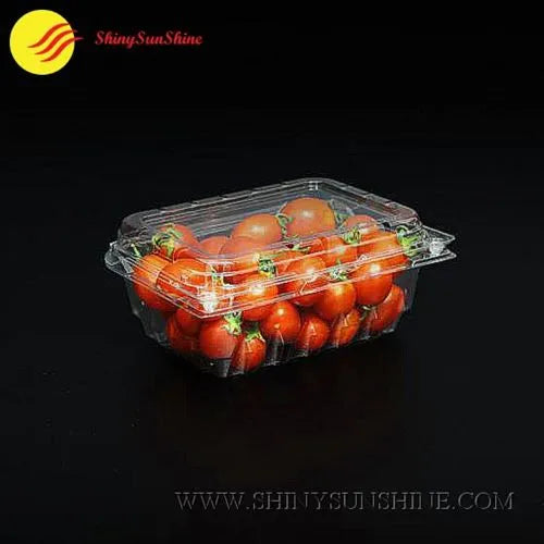 Clear plastic container with tomatoes 