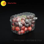 Clear plastic container with red apples 