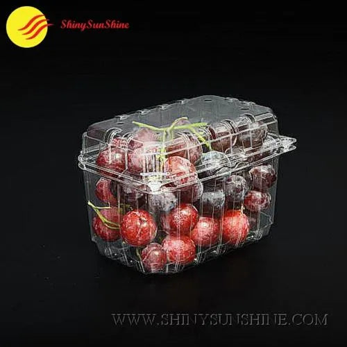 Clear plastic container with red apples 
