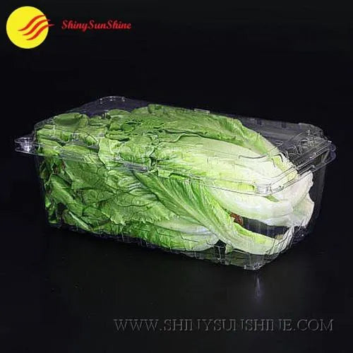 Clear plastic container with green leafy vegetables