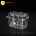Empty clear clamshell container designed for fresh fruit, with hinged lid and vent holes