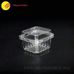 clear clamshell container designed for fresh fruit