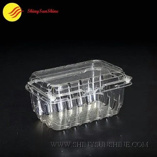 Custom fruit clamshell with smooth edges