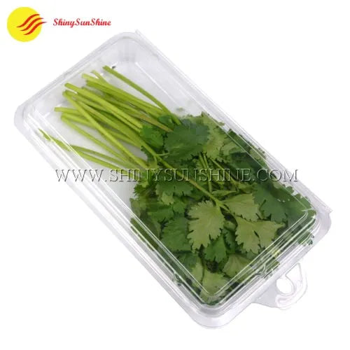 Empty clear clamshell packaging box for fresh herbs with hinged lid