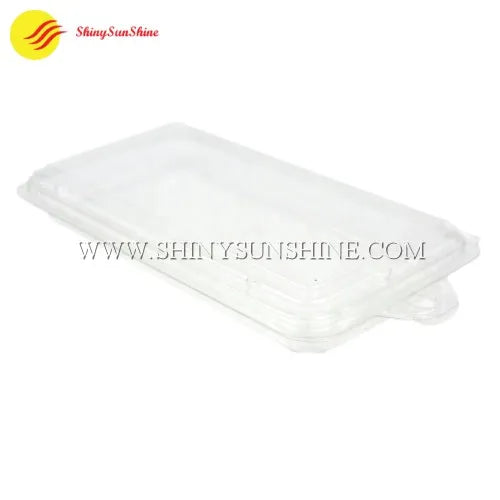 Transparent plastic herb container with molded compartments and snap-lock closure