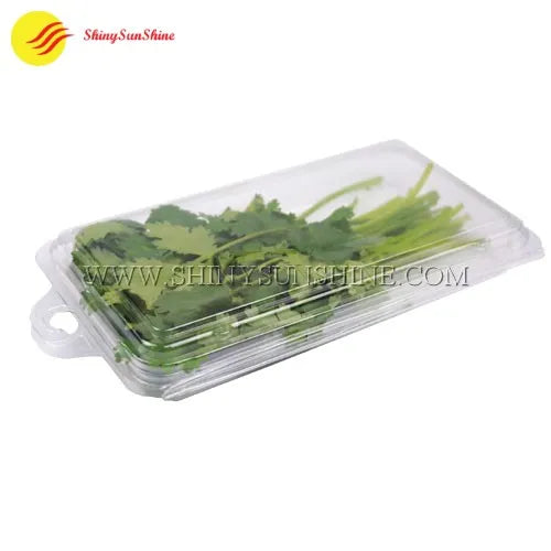 Food-grade clamshell box for herbs, photographed closed and ready for retail display