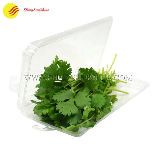 Open clamshell container showing interior layout for storing fresh herbs
