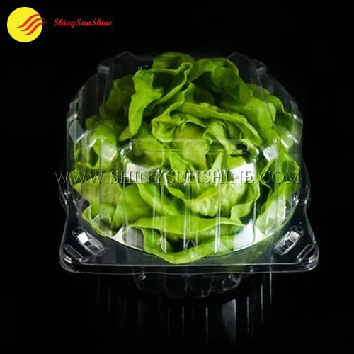 Food-grade clamshell box for lettuce, photographed closed and ready for retail display